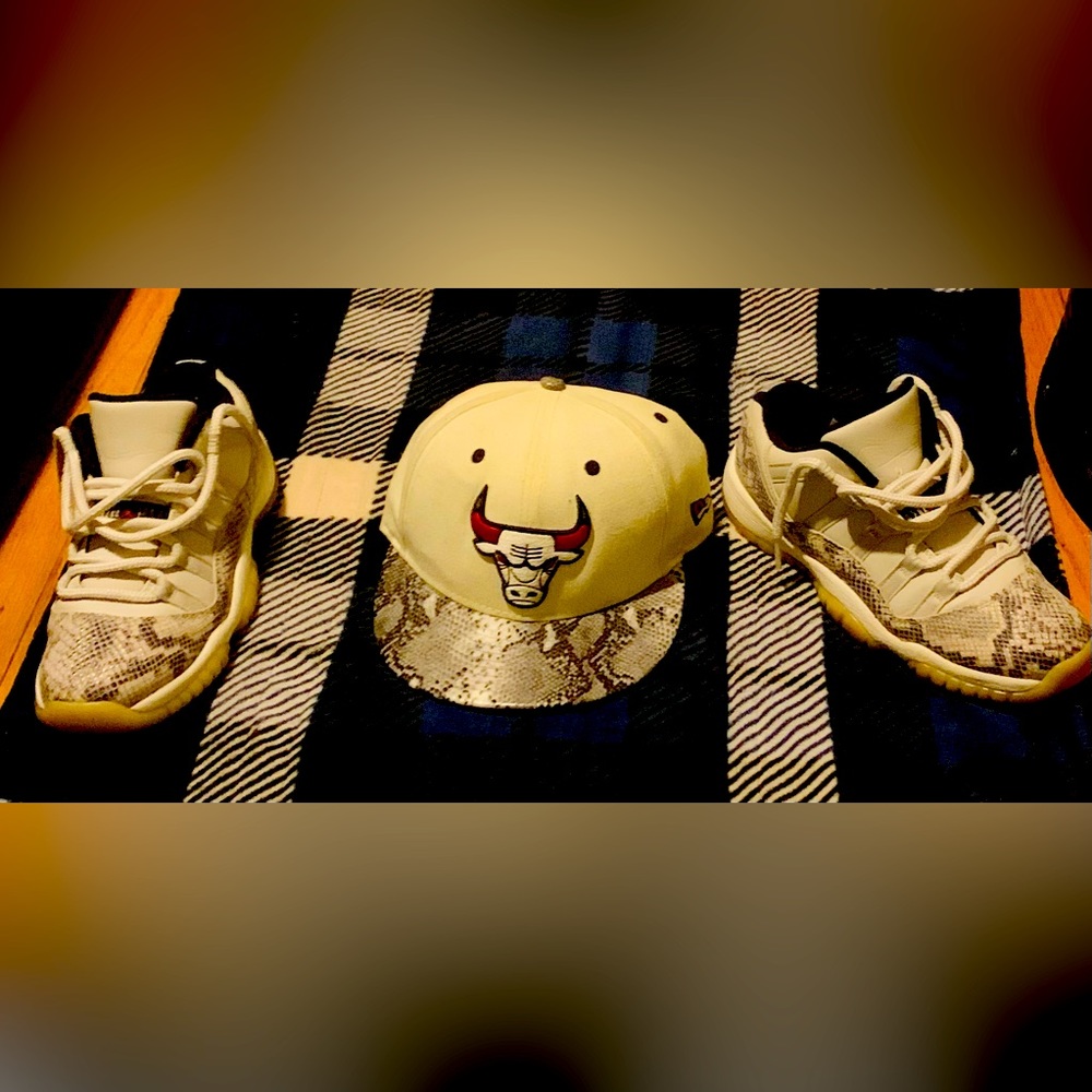 Air Jordan 11 Snakeskin